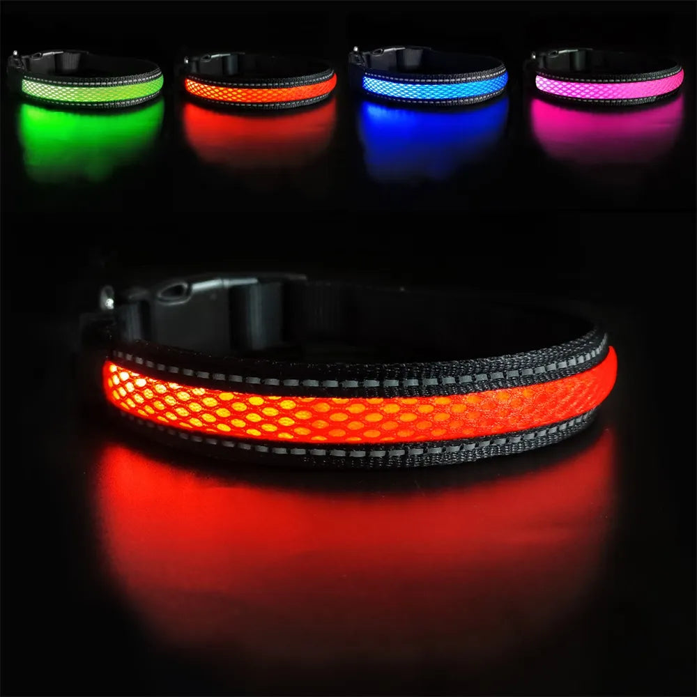 LED Collar