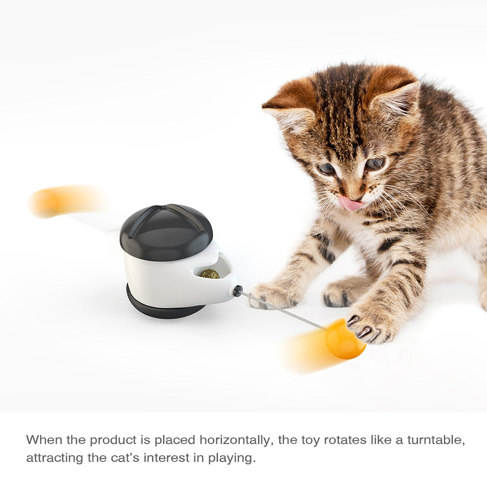 Interactive Cat Toy 2.0