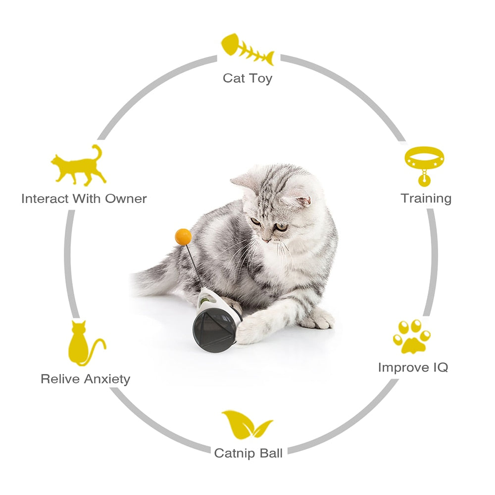 Interactive Cat Toy 2.0