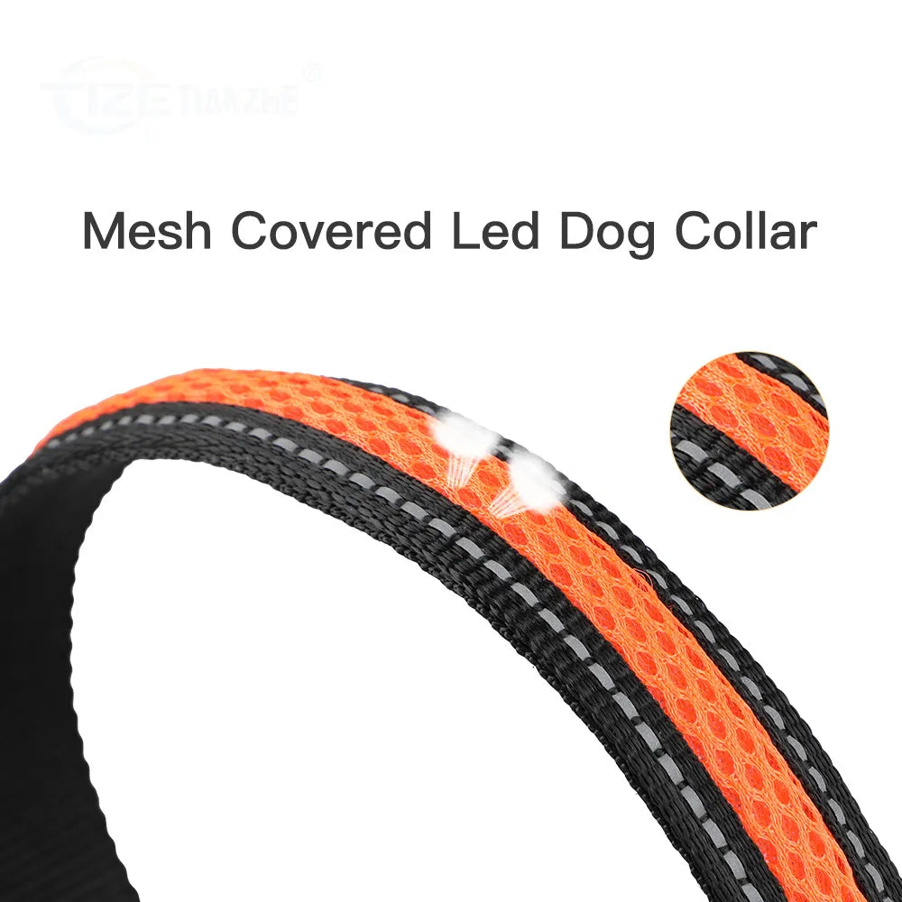 LED Collar