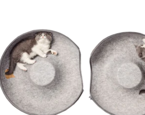 Purrfect Donut Bed