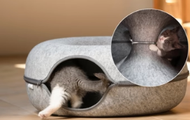 Purrfect Donut Bed