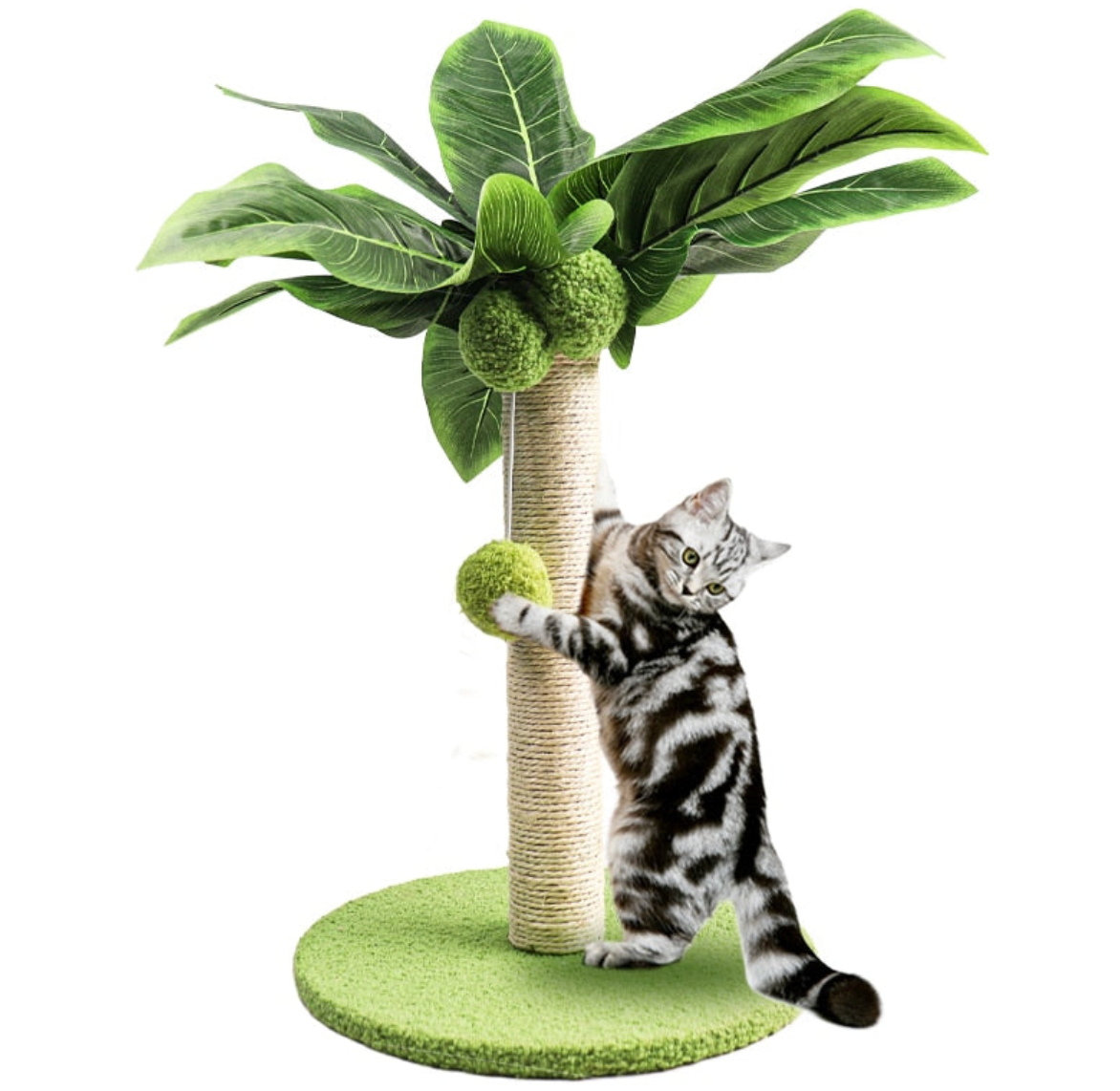 Cat Scratcher + FREE gift