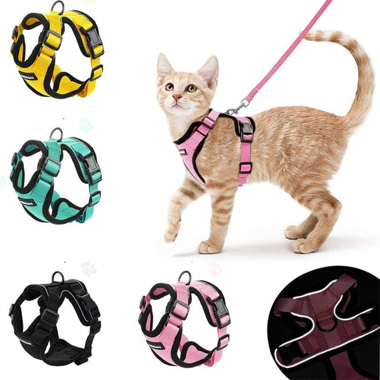 Cat Harness and Leash Set